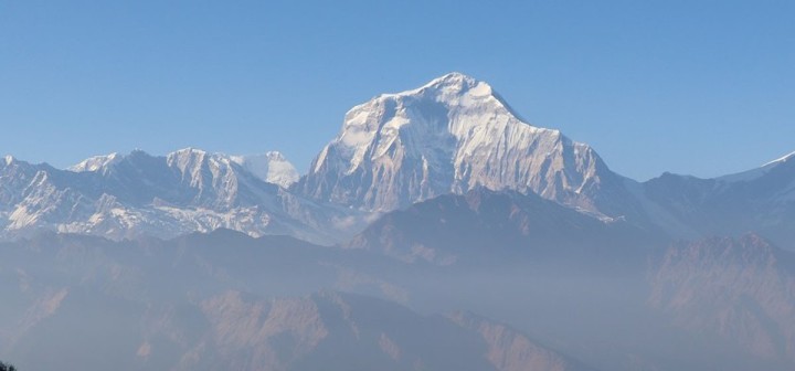 साउनदेखि जडीबुटी बीमा लागू हुने